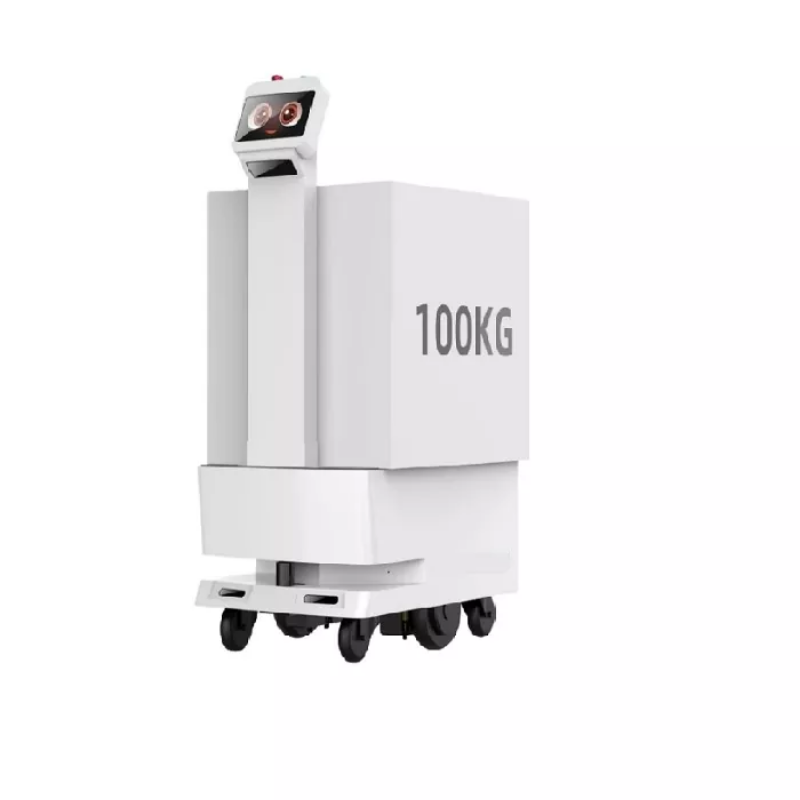 Los die volgende generasie L4-afleweringsrobotte uiteindelik die “Laaste 100 meter”-uitdaging op?