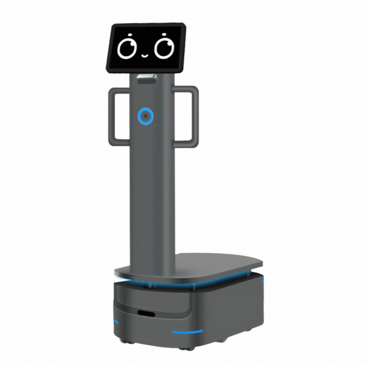 Swaar loonvrag-robot vir industriële aflewering