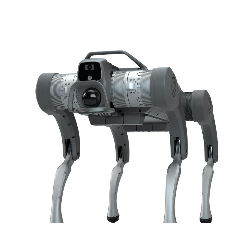 Oopbron Vierbeen-robothond
