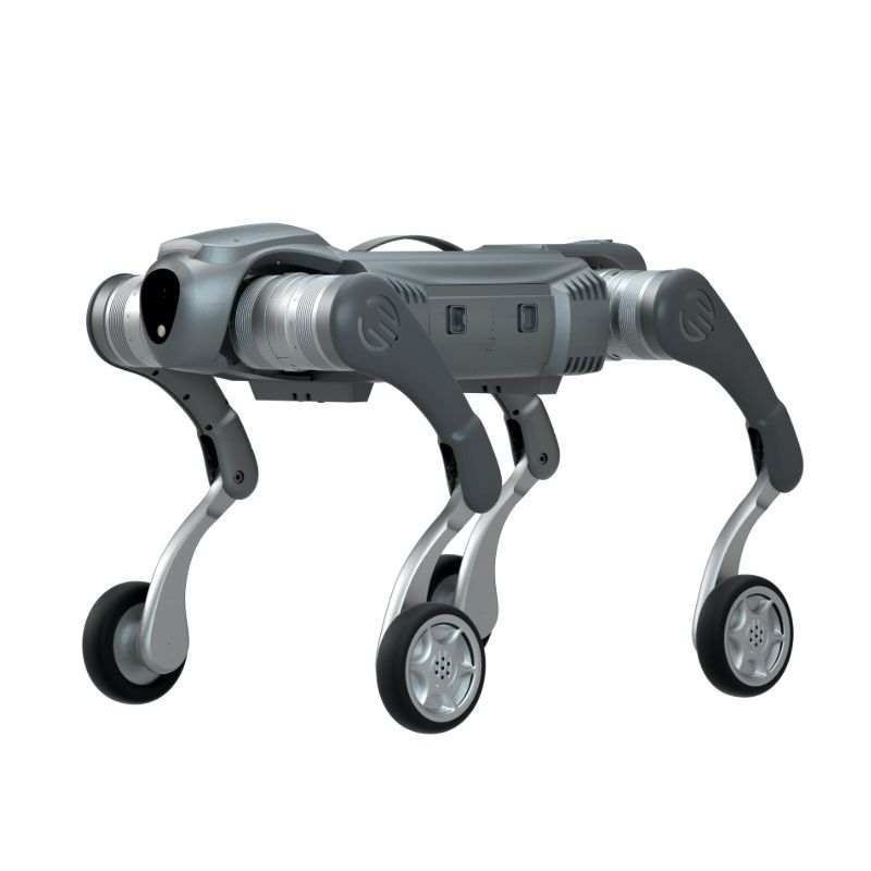 Wielbeen Vierbeen-robothond
